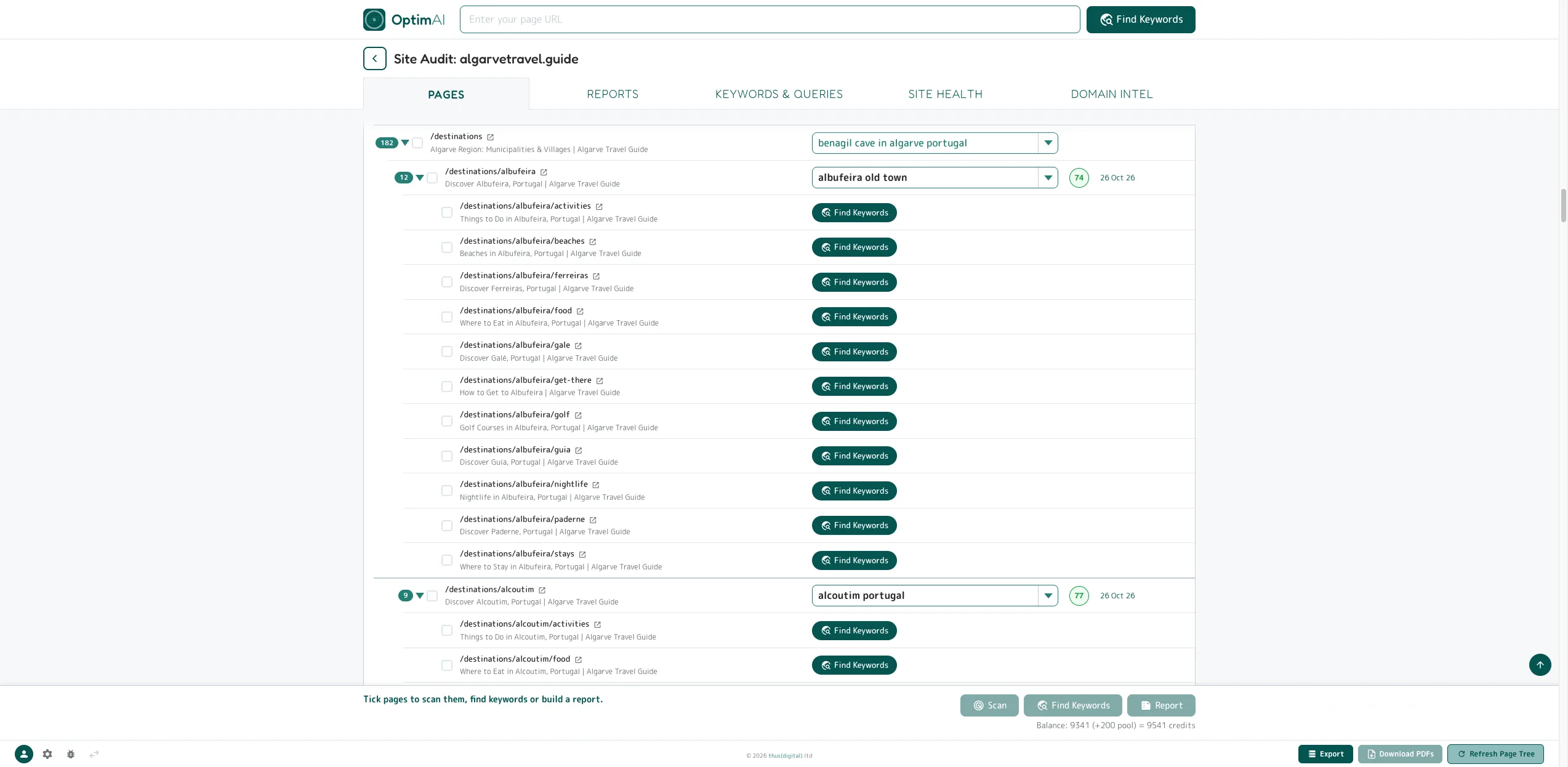 The page tree: every page, a keyword beside each, scores on the rows already scanned.